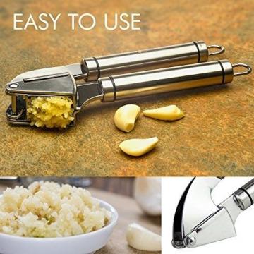 Qlty First Stainless Steel Professional Garlic Press, Crusher Complete Bundle -