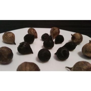 AUM black garlic- 2 Pack-ALL Natural- Health food- ENERGIZING!! Wholesale prices