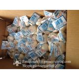 New Crop Chinese 4.5cm Snow White Fresh Garlic Loose Carton Packing