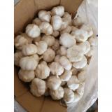 Pure White Fresh Garlic Produced in Jinxiang Shandong Chinese Snow White Garlic