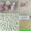 Garlic 2017 year china new crop garlic Puree/  Garlic  Clove/  Garlic  Meat