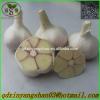 Hot 2017 year china new crop garlic Sale  Chinese  Garlic  With  A Purple White Skin Outside And Each Clove Purple White Skin Inside