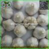 Chinese 2017 year china new crop garlic White  Garlic  Price  Professional  Exporter In China