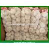 Fresh 2017 year china new crop garlic Garlic  For  Sale  China  Garlic Packing In Mesh Bag