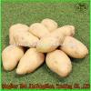 (HOT) 2017 year china new crop garlic FRESH  Garlic/CHINA  Purple  Garlic,good  faith wholesalers