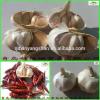 (HOT) 2017 year china new crop garlic Shandong  Purple  Garlic  Product  Exporte to Dubai 10kg/Carton