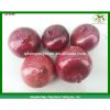 2014 2017 year china new crop garlic factory  hot  sale  fresh  garlic