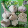 Chinese 2017 year china new crop garlic White  Garlic  Price  Professional  Exporter In China