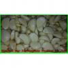 Professional 2017 year china new crop garlic Chinese  Garlic  Supplier  Health  Benifits Fresh White Garlic