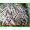 Price 2017 year china new crop garlic Of  Fresh  Chinese  Garlic  Specification 4.5cm 5.0 cm 5.5cm 6.0cm