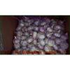 Chinese 2017 year china new crop garlic 2017  Fresh  Garlic  Price  Purple/Red/Pure White Garlic