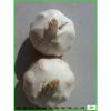 Garlic 2017 year china new crop garlic Wholesale  Price  Per  Ton  normal/Pure/peeled White Garlic