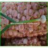 Shandong 2017 year china new crop garlic Garlic  Wholesale  Export  Price  2017