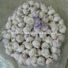 Normal 2017 year china new crop garlic white  garlic   