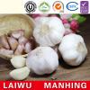 Organic 2017 year china new crop garlic normal  pure  white  fresh  garlic price