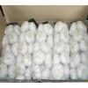 Cheap 2017 year china new crop garlic Wholesale  Natural  white  fresh  garlic with mesh bag or ctn