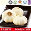 ISO 2017 year china new crop garlic 9001  fresh  chinese  natural  white garlic