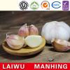 ISO 2017 year china new crop garlic Global  GAP  HACCP  KOSHER  JAS certification fresh style garlic