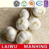 ISO 2017 year china new crop garlic Global  GAP  HACCP  KOSHER  JAS certification fresh style garlic