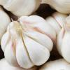 2017 2017 year china new crop garlic fresh  5.5  natural  white  garlic