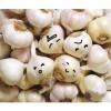 Hot 2017 year china new crop garlic sale  fresh  Chinese  normal  white garlic price