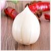 2017 2017 year china new crop garlic new  crop  bulk  garlic  with competitive price