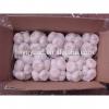 YUYUAN 2017 year china new crop garlic brand  hot  sail  fresh  garlic garlic grading machine