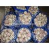 YUYUAN 2017 year china new crop garlic brand  hot  sail  fresh  garlic garlic health capsules