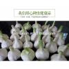 YUYUAN 2017 year china new crop garlic brand  hot  sail  fresh  garlic garlic manufacturers china