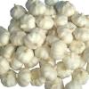 Best 2017 year china new crop garlic selling  product  in  europe  garlic in chilli oil with competitive price