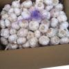 Best 2017 year china new crop garlic selling  normal  purity  natural  dehydrated garlic with high quality