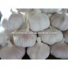 Fresh 2017 year china new crop garlic Garlic    