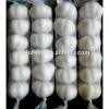 6pcs 2017 year china new crop garlic pure  white  garlic  