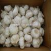 2017 2017 year china new crop garlic white  garlic   