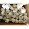 fresh 2017 year china new crop garlic pure  white  garlic  