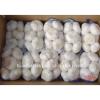 chinese 2017 year china new crop garlic pure  white  garlic  