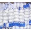 New 2017 year china new crop garlic Crop  5cm-6.5cm  20kg  mesh  bag pure white and normal white fresh garlic