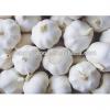 2014 2017 year china new crop garlic new  crop  ,  mesh  bag ,pure white garlic