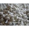 Chinese fresh galic suppliers with best price