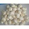 China Big Size Garlic For Sale