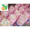 Fresh Garlic in Low Price