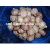 2017 New Crop Fresh Garlic (4.5cm,5cm,5.5cm.6cm up)