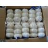 2017 Fresh and Dry Garlic - Chinese Garlic Exporters