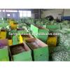 Fresh Natural Garlic in Carton Package, New Crop