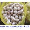 WHITE GARLIC (Skype&amp;Yahoo: visimex06)