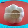 white garlic size4.5cm