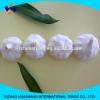 white garlic size 6.0cm