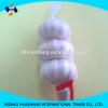 normal white fresh garlic size4.0cm