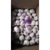 2017 Fresh Garlic / Alho from Jinxiang Liming J10