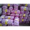 2017 Fresh Garlic / Alho from Jinxiang Liming Food J10